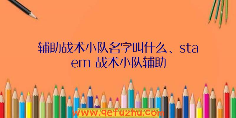 辅助战术小队名字叫什么、staem